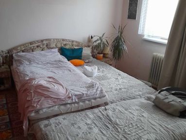 438124988_1431851214109713_2018361539642416818_n