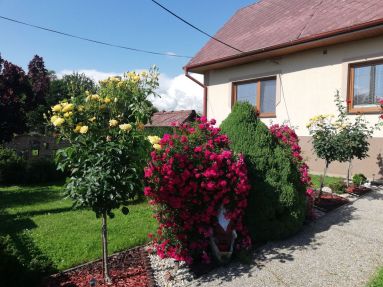 Rodinný dom , využitie aj na podnikanie