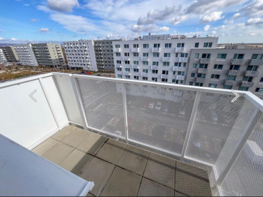 PHOTO-2025-03-28-12-11-57 3