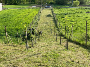 Pozemok Nová Bošáca na predaj