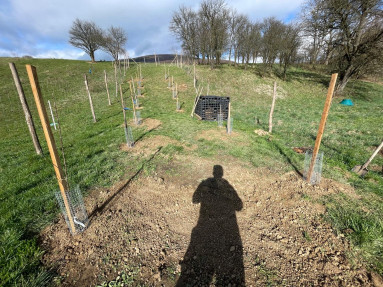 Obrázok WhatsApp 2025-03-10 o 21.20.46_2d6ed9f5