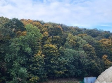 Na predaj 3-izbový byt s balkónom, pivnicou a samostatnou garážou  Lovinského ulica, Brati