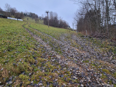 20251120_091744_1_11zon