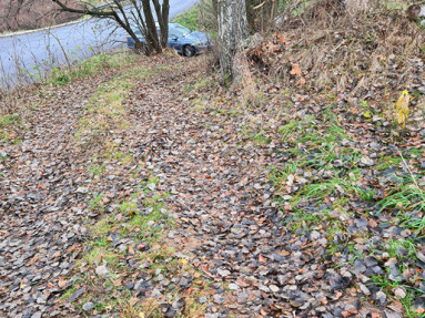 20251120_092023_3_11zon