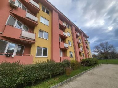 FB_IMG_1670011731577