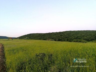 IMG_20220526_081509-scaled-1-768x576