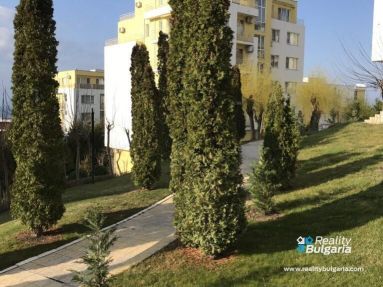 2D826BB32-FC68-4B7C-B4D1-2187FAA2BB70-768x1024