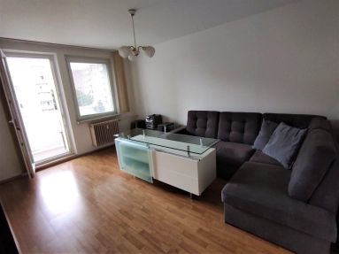 396549901_540378308287169_3006359178374952082_n