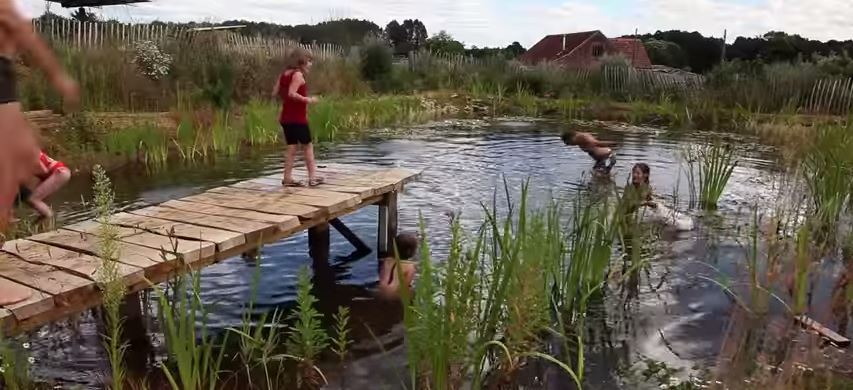 Prírodný bazén: Lepší pre rodinu, záhradu, aj vašu peňaženku